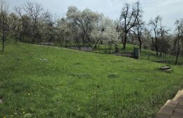 Oportunitate de Investiție în Runcu: Reședință cu Vedere Panoramică 