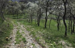 Vilă Panoramică Runcu