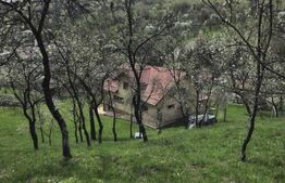 Vilă Panoramică Runcu