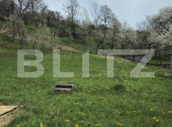 Casa de vânzare 6 camere Runcu - 141444CV | BLITZ Târgoviște | Poza13