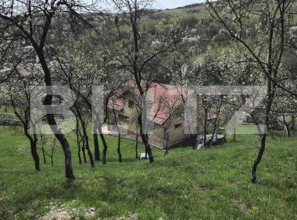 Casa de vânzare 6 camere Runcu - 141444CV | BLITZ Târgoviște | Poza4