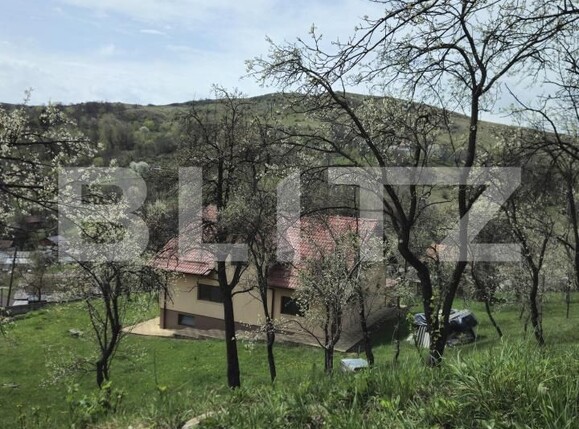 Casa de vânzare 6 camere Runcu - 141444CV | BLITZ Târgoviște | Poza13