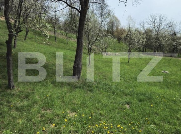 Casa de vânzare 6 camere Runcu - 141444CV | BLITZ Târgoviște | Poza16