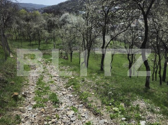 Casa de vânzare 6 camere Runcu - 141444CV | BLITZ Târgoviște | Poza5