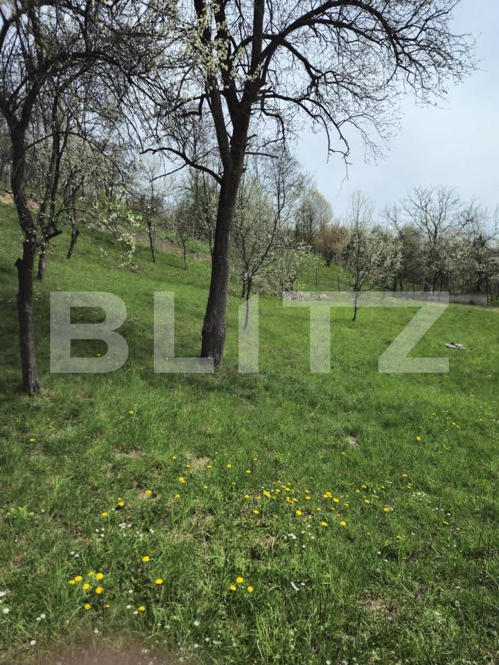 Casa de vânzare 6 camere Runcu - 141444CV | BLITZ Târgoviște | Poza16