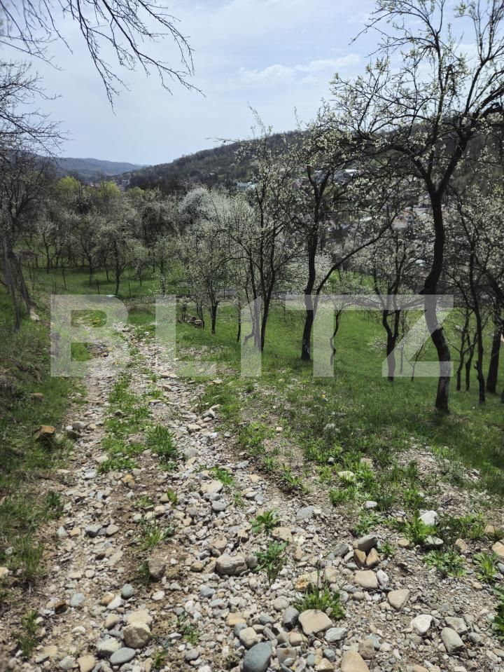 Casa de vânzare 6 camere Runcu - 141444CV | BLITZ Târgoviște | Poza5