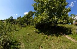 Casă individuală, 200 mp, teren 80 000 mp, Runcu