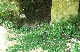 Casă individuală, 200 mp, teren 80 000 mp, Runcu