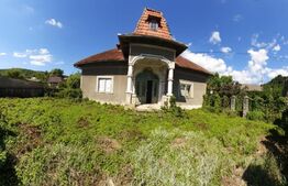 Casă individuală, 200 mp, teren 80 000 mp, Runcu