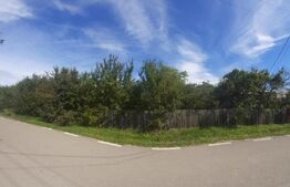 Casa individuala 100 mp, teren 900 mp, Bratesti