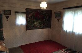 Casă de vacantă din lemn, sat Măgura, Bezdead