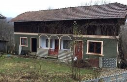 Casă de vacantă din lemn, sat Măgura, Bezdead