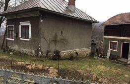 Casă de vacantă din lemn, sat Măgura, Bezdead