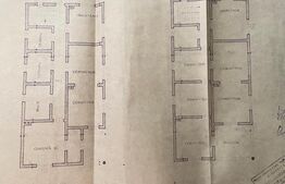 Casa familială individuală, 169mp utili, 2000mp teren, Branești