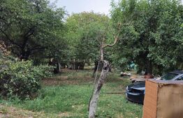 Teren extravilan 17524 mp, expunere sudica, Viforata