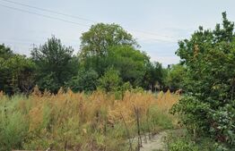 Teren extravilan 17524 mp, expunere sudica, Viforata