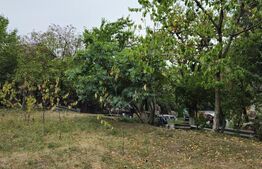 Teren extravilan 17524 mp, expunere sudica, Viforata