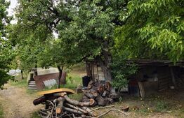 Teren extravilan 17524 mp, expunere sudica, Viforata