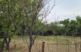 Teren extravilan 17524 mp, expunere sudica, Viforata