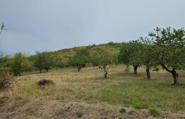 Teren extravilan 17524 mp, expunere sudica, Viforata