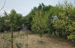 Teren extravilan 17524 mp, expunere sudica, Viforata