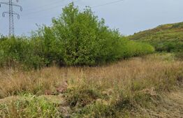 Teren extravilan 17524 mp, expunere sudica, Viforata