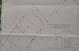Teren extravilan 17524 mp, expunere sudica, Viforata