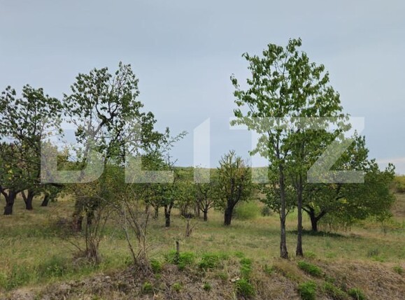 Teren de vânzare Exterior Nord - 142721TV | BLITZ Târgoviște | Poza11