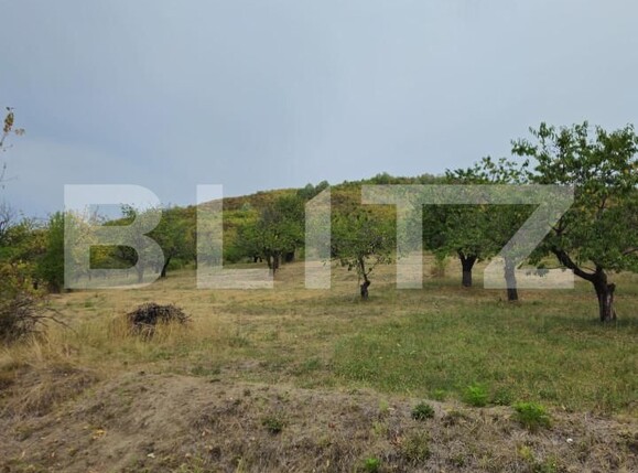 Teren de vânzare Exterior Nord - 142721TV | BLITZ Târgoviște | Poza14