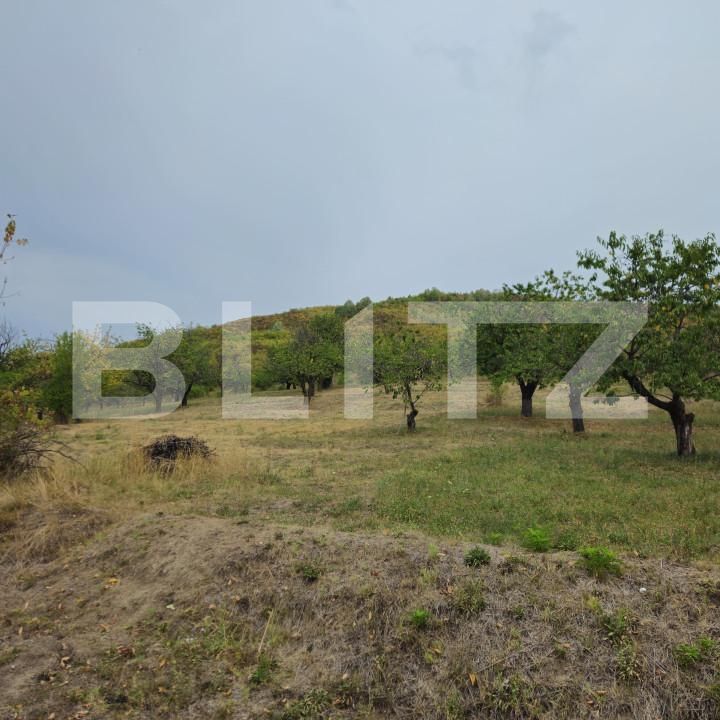 Teren de vânzare Exterior Nord - 142721TV | BLITZ Târgoviște | Poza14