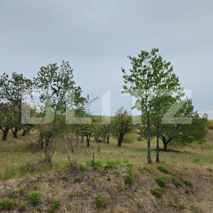 Teren de vânzare Exterior Nord - 142721TV | BLITZ Târgoviște | Poza11