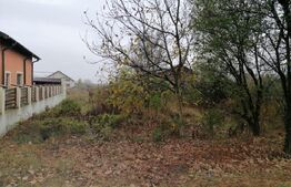 Teren intravilan, 10000 mp, Târgoviște