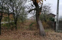 Teren intravilan, 10000 mp, Târgoviște