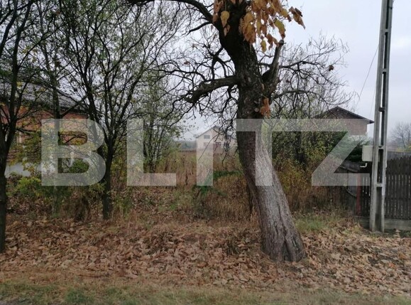 Teren de vânzare Vest - 142723TV | BLITZ Târgoviște | Poza1