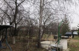 Casa individuala 127 mp ,teren 1196 mp,Bungetu