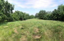 Teren intravilan 2892 mp Răzvad