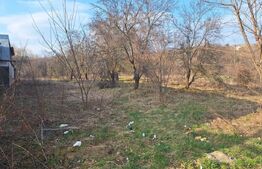 Teren intravilan 2892 mp Răzvad