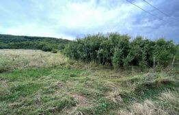  Teren 10.000 mp, Bucsani 