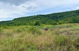  Teren 10.000 mp, Bucsani 