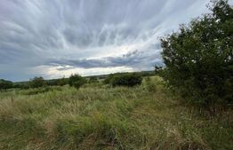  Teren 10.000 mp, Bucsani 