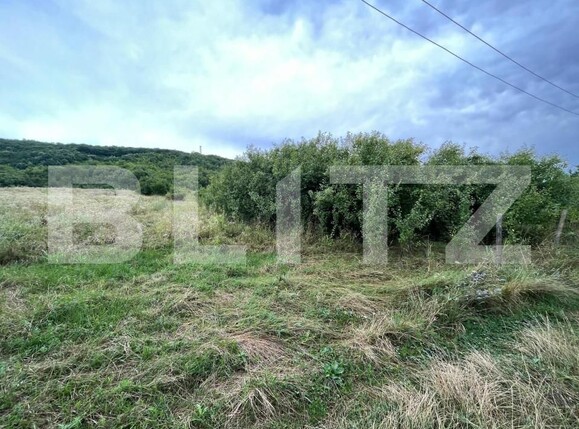 Teren de vânzare Exterior Sud - 142857TV | BLITZ Târgoviște | Poza3