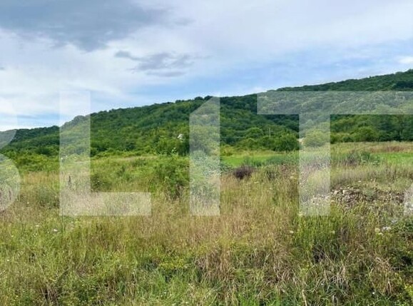 Teren de vânzare Exterior Sud - 142857TV | BLITZ Târgoviște | Poza1