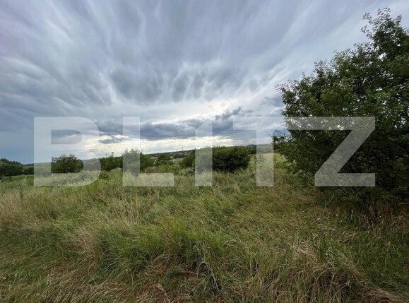 Teren de vânzare Exterior Sud - 142857TV | BLITZ Târgoviște | Poza2