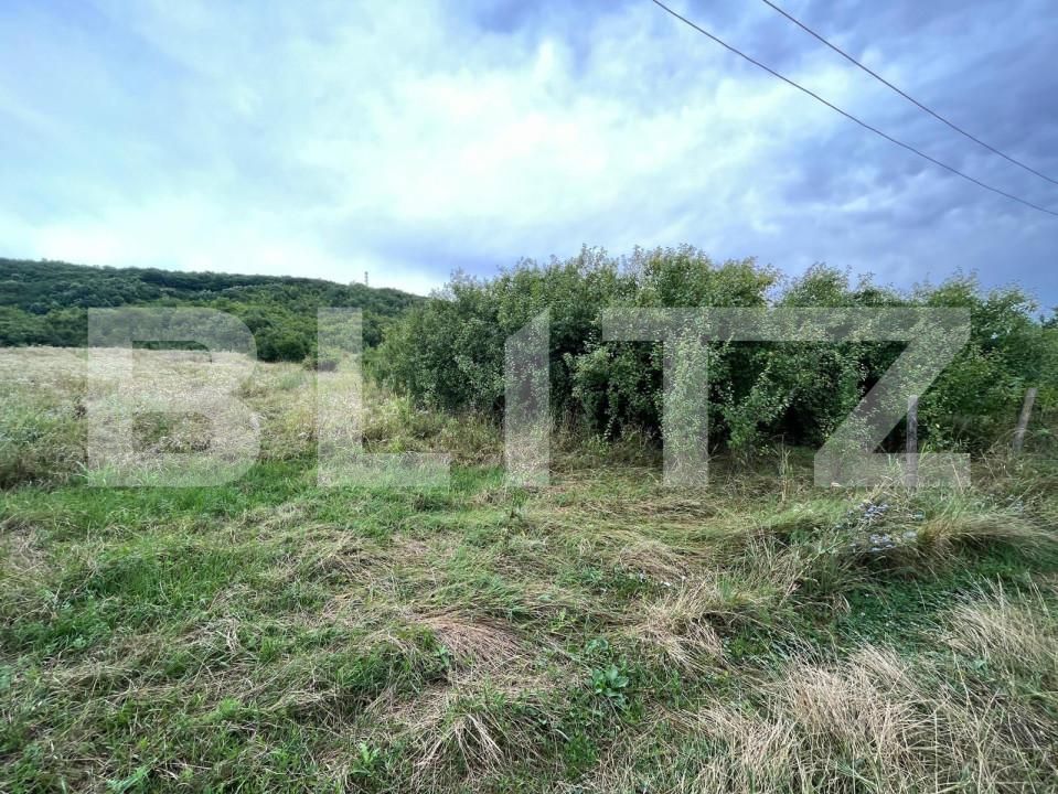 Teren de vânzare Exterior Sud - 142857TV | BLITZ Târgoviște | Poza3