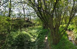 Rate la proprietar Casa individuală 75 mp, teren 1600mp , Viforata