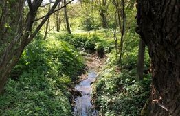  Casa individuală in RATE , 75 mp, teren 1600mp , Viforata