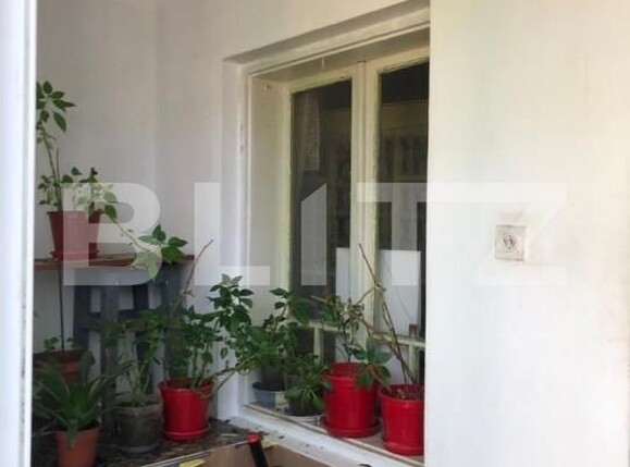 Casa de vânzare 3 camere Viforata - 142887CV | BLITZ Târgoviște | Poza13