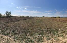 Teren 5825 mp, zona Dragomiresti