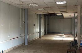 Business la cheie, spatiu comercial 260 de mp, P+E, Targoviste