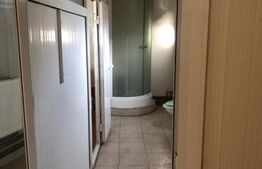 Business la cheie, spatiu comercial 260 de mp, P+E, Targoviste